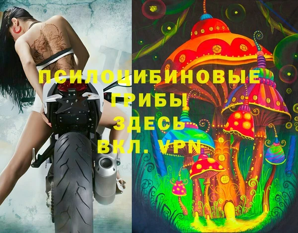 ешки Козельск