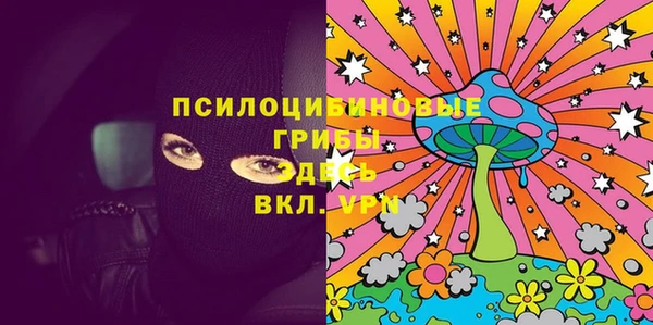 дурь Краснослободск