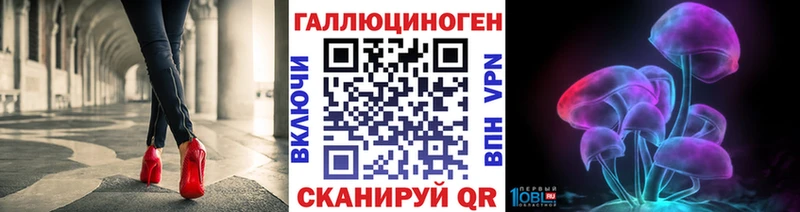 hydra tor Курчатов Псилоцибиновые грибы Psilocybine cubensis